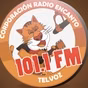 RADIO ENCANTO FM 101.1