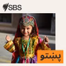 له یفتل تر زېباکه؛ بدخشان ولایت کې د نښتو تر شا څه روان دي؟