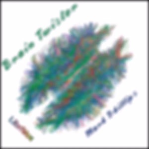 Brain Twister by Laurence M. Janifer (1933 - 2002) and Randall Garrett (1927 - 1987)