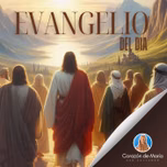 El Evangelio del día
