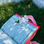 نور الاسلام  طريق الهدايه