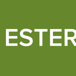 VERACRUZ ESTEREO ONLINE