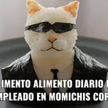 Macaco