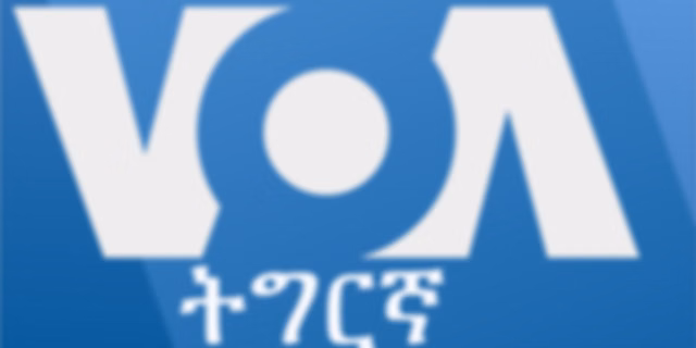 ዕለታዊ ፈነወ ድምጺ ኣመሪካ ቋንቋ ትግርኛ - Voice of America
