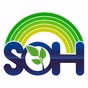 Livedoor - SOH Live