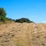 What impact does the current weather have on farmers?