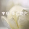 529【主啊，我感謝你】
