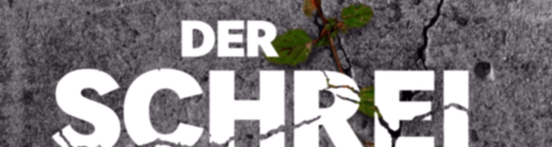 Der Schrei – Der rätselhafte Fall Rafael Blumenstock