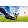 Initiation au Foot Golf au Golf de La Largue à Mooslargue le 11 juillet