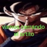 Salsa brava