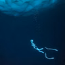 450 - Save the Fear for Later; Discipline, Fear Management & Survival Lessons from Champion Freediver Anna von Boetticher