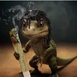 Desconocido sosa