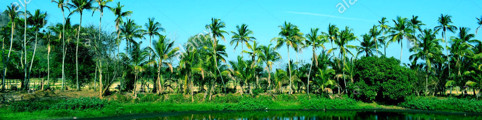 MALAYALAM MELODY