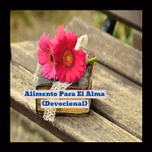 Alimento para el Alma