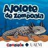 Ajolote de Zempoala: Vivir sin cambiar… y funcionar