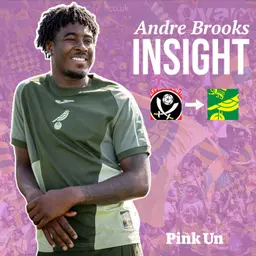 INSIGHT: What sort of player have Norwich City signed in Andre Brooks? | The Pink Un
