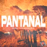 RM #92: Pantanal em Chamas