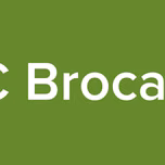 LNC Brocaster