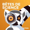 Le chien, fin détecteur... de menteurs REDIFF