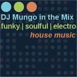 DJ Mungo in the Mix