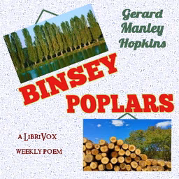 Binsey Poplars