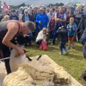Tullamore Show celebrates its 35th year