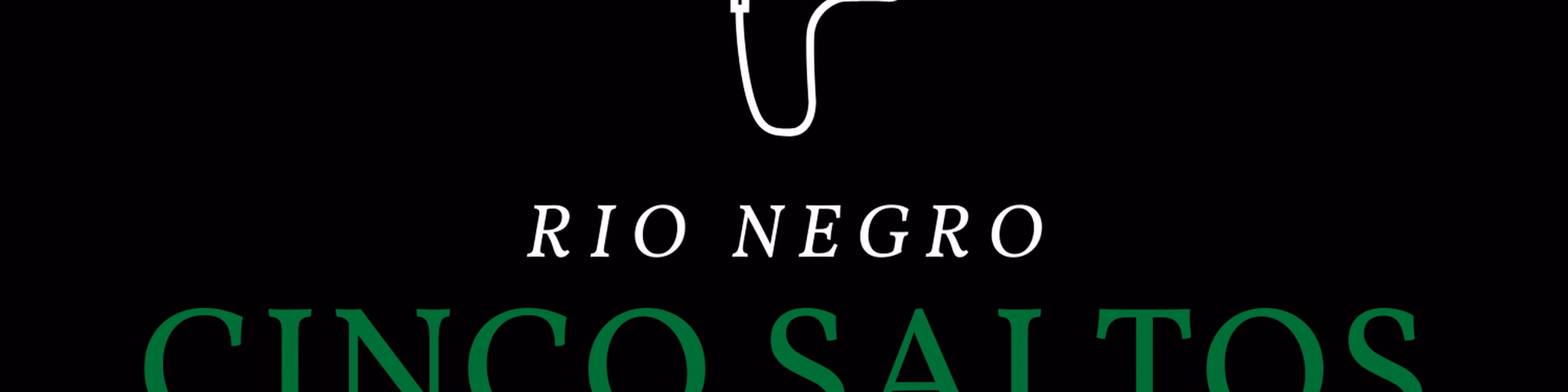CINCO SALTOS ONLINE