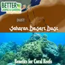 S2 Ep465: Better Lawns and Gardens - Hour 2 Sahara Desert Dust and Coral Reefs July 11, 2026