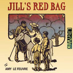 Jill's Red Bag