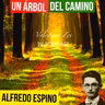 UN ARBOL DEL CAMINO ALFREDO ESPINO 🌳🐦 | Jícaras Tristes Auras del Bohío 💚 | Alfredo Espino Poemas
