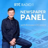 Newspaper Panel