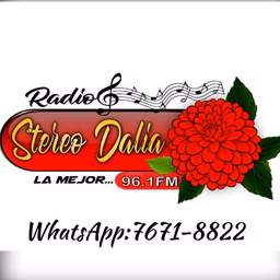 Radio Stereo Dalia