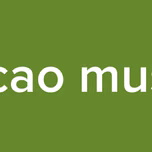 estacao musical