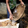 Creating a new gold standard for Colombia