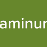 aminur