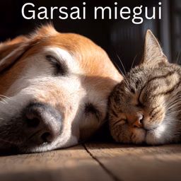 Garsai miegui