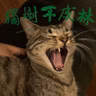 358-阿伦特和卢梭如何吐槽现代社会？对谈赵宇飞ft.华贸