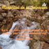 67-Conflicto entre hermanos