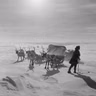 IM REICH DER KÄLTE - Die Sami, Leben in acht Jahreszeiten