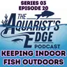 Keeping Indoor Fish Outdoors
