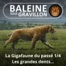 BEST OF D'ÉTÉ #25 La Gigafaune du passé 1/4 : Les grandes dents (Pierre-Olivier Antoine)