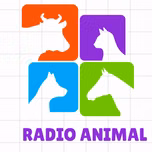 RADIO ANIMAL