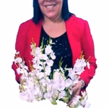 Renovação Shalon