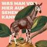 Mariana Leky: Was man von hier aus sehen kann (1/3) - Bestseller-Liebesgeschichte