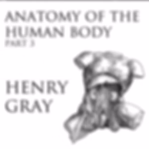 Anatomy of the Human Body, Part 3 (Gray's Anatomy) by Henry Gray (1827 - 1861)