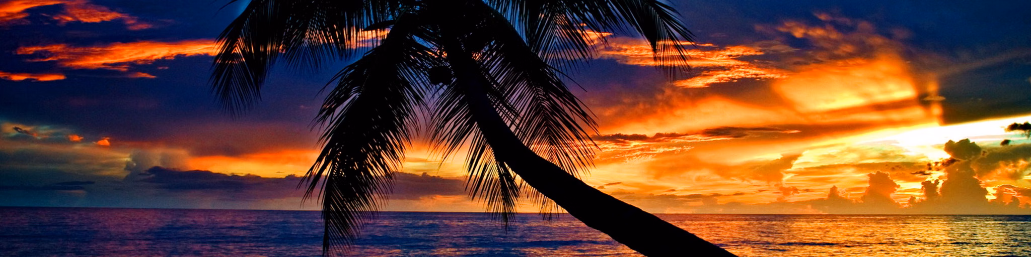tropical beat