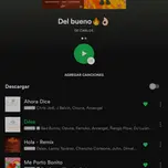 RRadiza