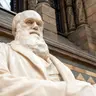 Giving Up Darwin’s “Brilliant and Beautiful Theory”