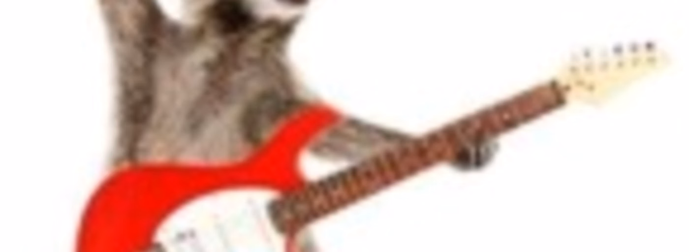 Metal Raccoon