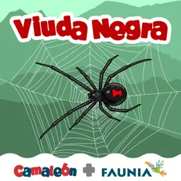 Viuda negra: La verdad detrás del miedo